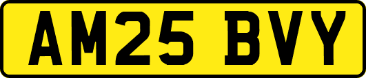 AM25BVY