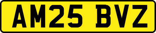 AM25BVZ