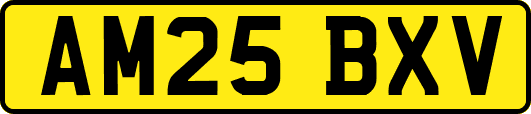 AM25BXV