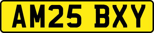 AM25BXY