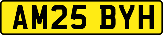 AM25BYH