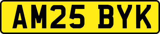 AM25BYK