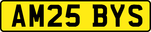 AM25BYS