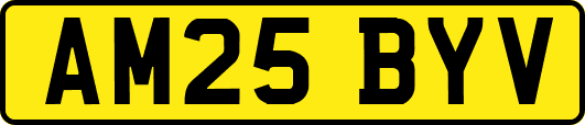 AM25BYV