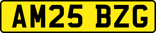 AM25BZG