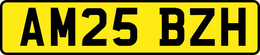 AM25BZH