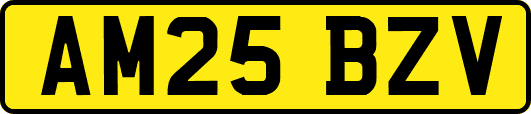 AM25BZV
