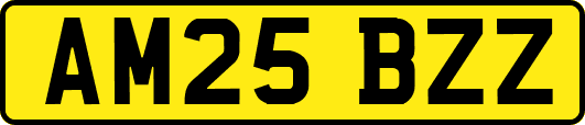 AM25BZZ