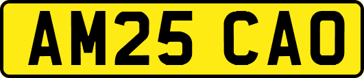 AM25CAO
