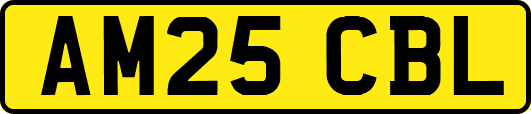 AM25CBL