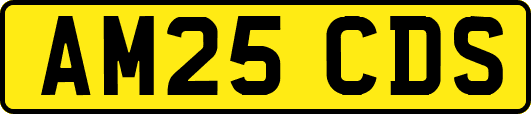 AM25CDS
