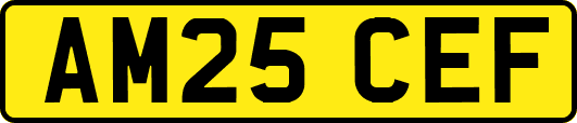 AM25CEF