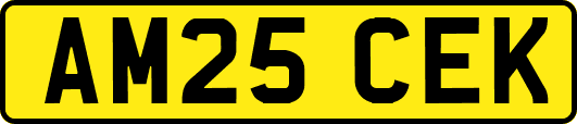AM25CEK