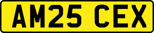 AM25CEX