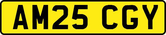 AM25CGY
