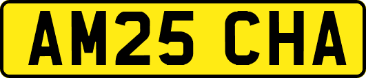 AM25CHA