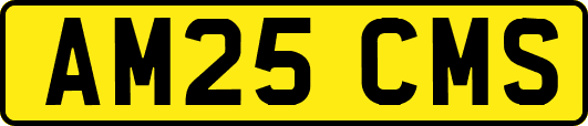 AM25CMS