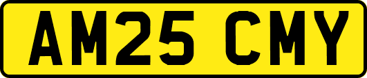 AM25CMY