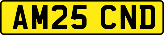 AM25CND