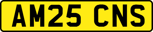 AM25CNS