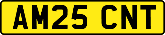 AM25CNT