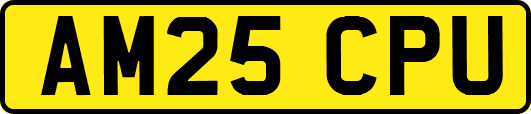 AM25CPU