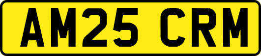 AM25CRM