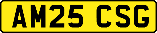 AM25CSG