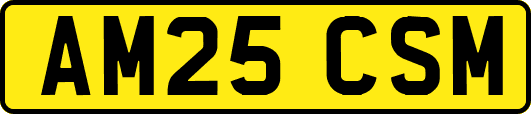 AM25CSM