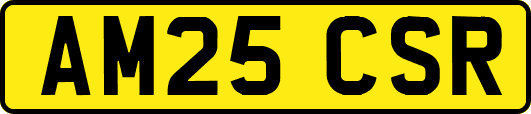 AM25CSR