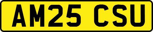 AM25CSU