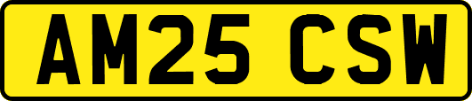 AM25CSW