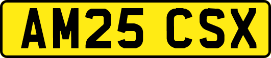 AM25CSX