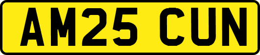 AM25CUN