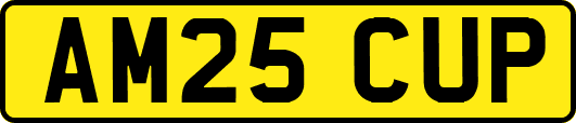 AM25CUP