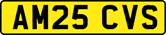 AM25CVS