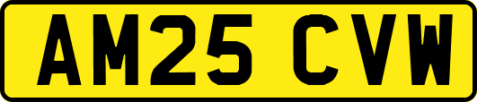 AM25CVW