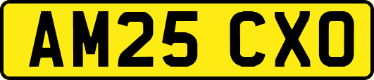 AM25CXO