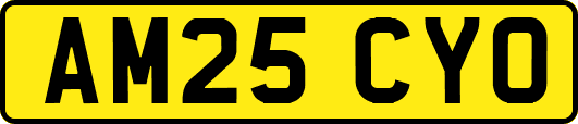 AM25CYO