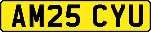AM25CYU