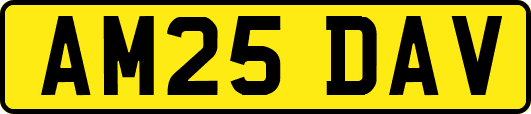 AM25DAV