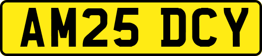 AM25DCY