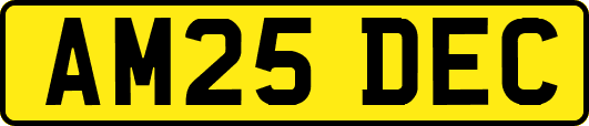 AM25DEC
