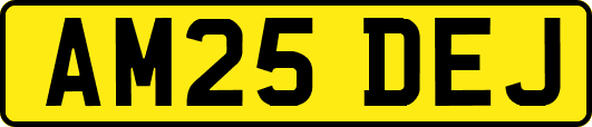 AM25DEJ