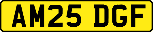 AM25DGF