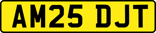 AM25DJT