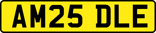 AM25DLE