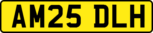 AM25DLH