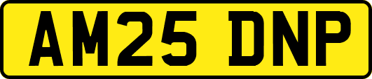 AM25DNP