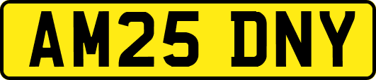 AM25DNY